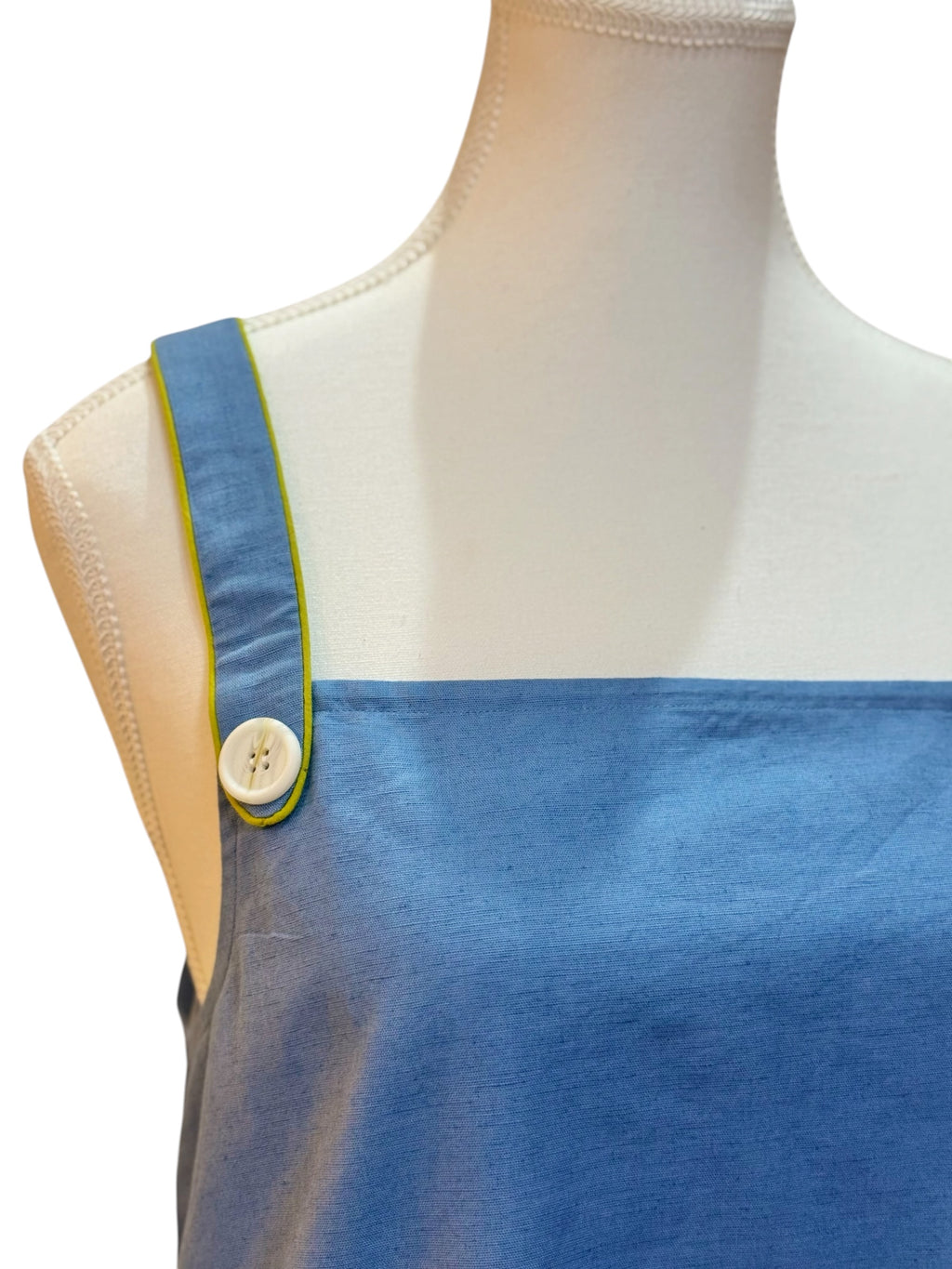 Picnic Dress Blue